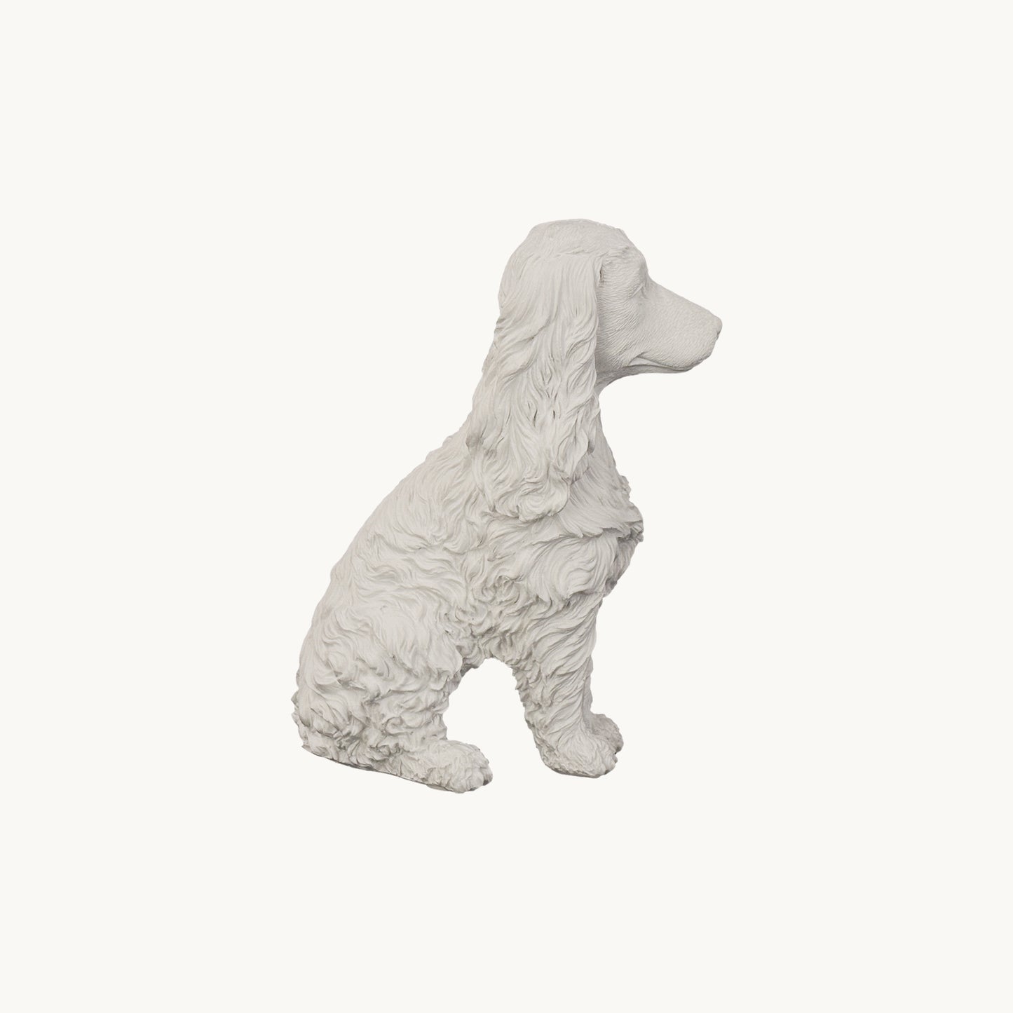Cocker Spaniel| Classic White