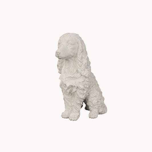 Cocker Spaniel| Classic White