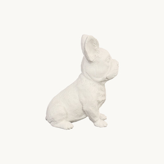 French Bulldog| Classic White