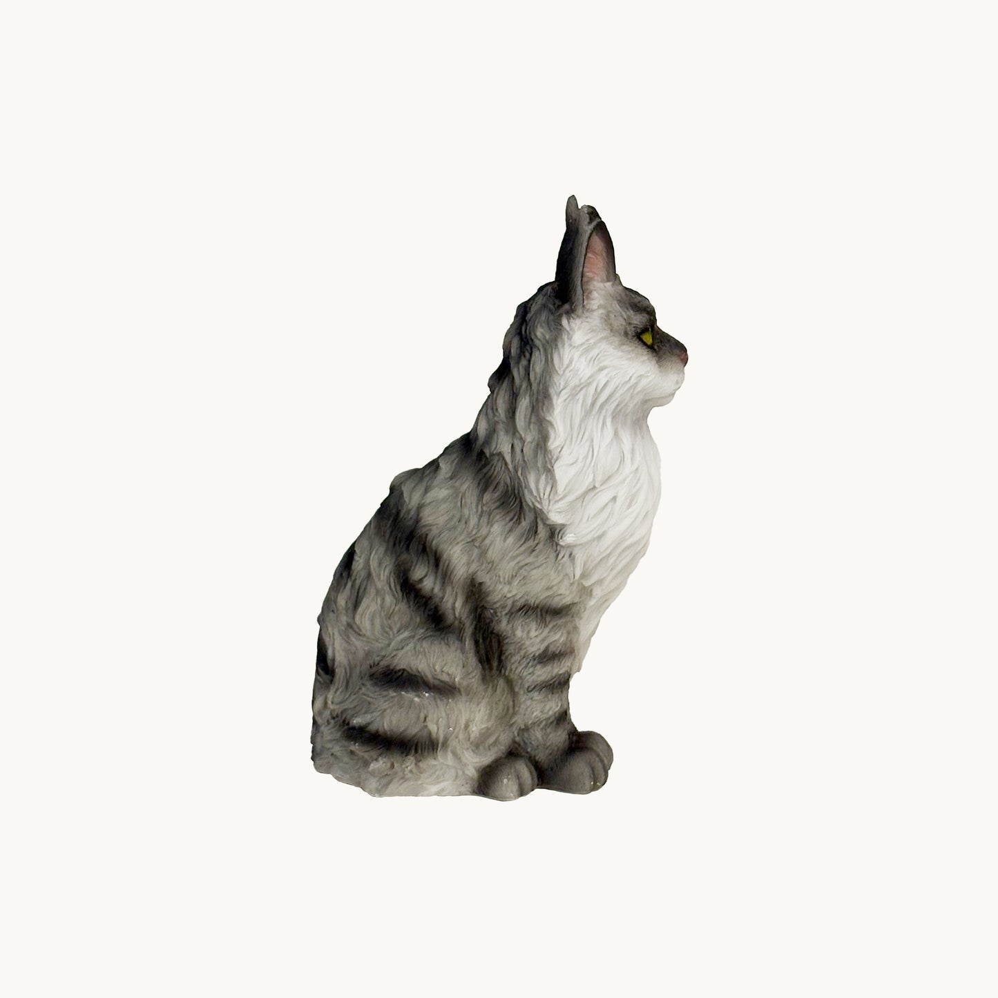 Maine Coon Cat| Custom Color Edition