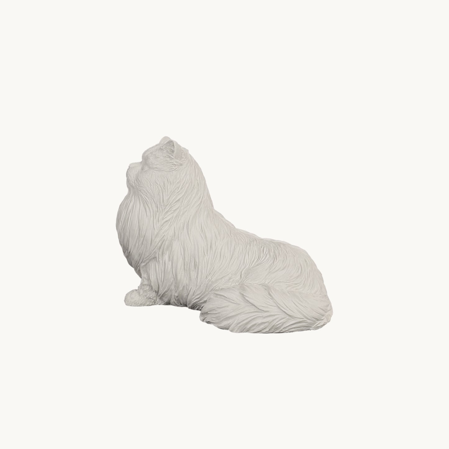 Persian Cat| Classic White