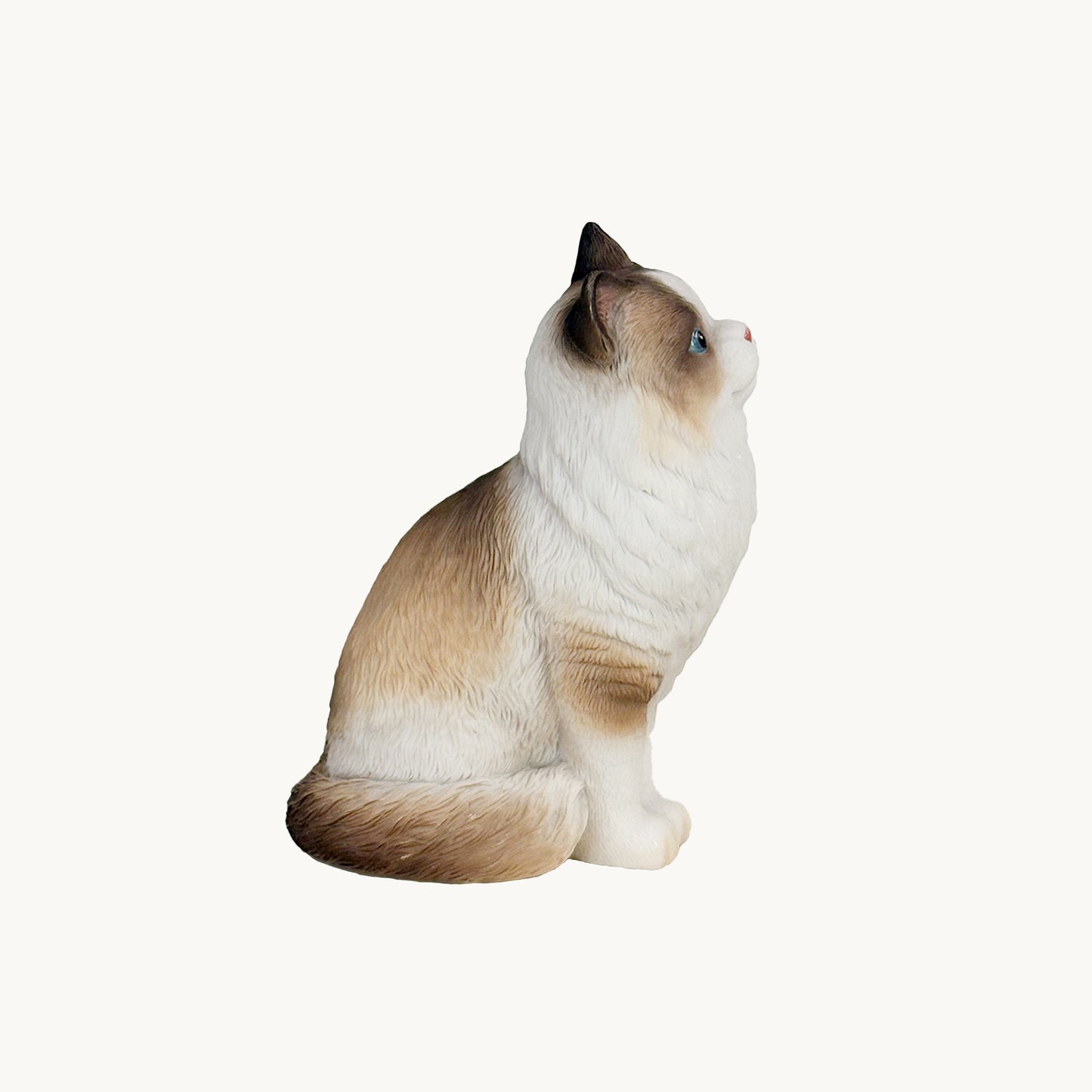 Ragdoll Cat| Custom Color Edition