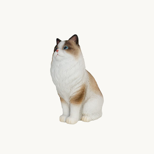 Ragdoll Cat| Custom Color Edition