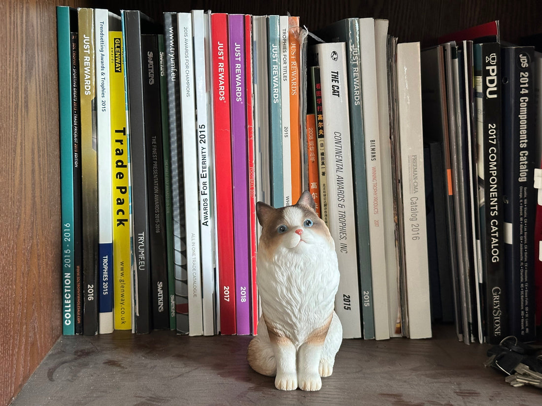 She kept me company — and dusted my books along the way