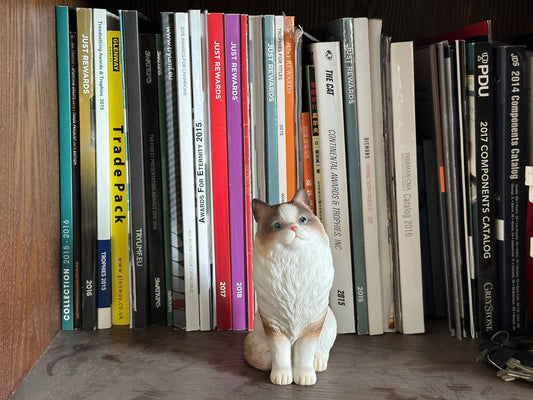 She kept me company — and dusted my books along the way