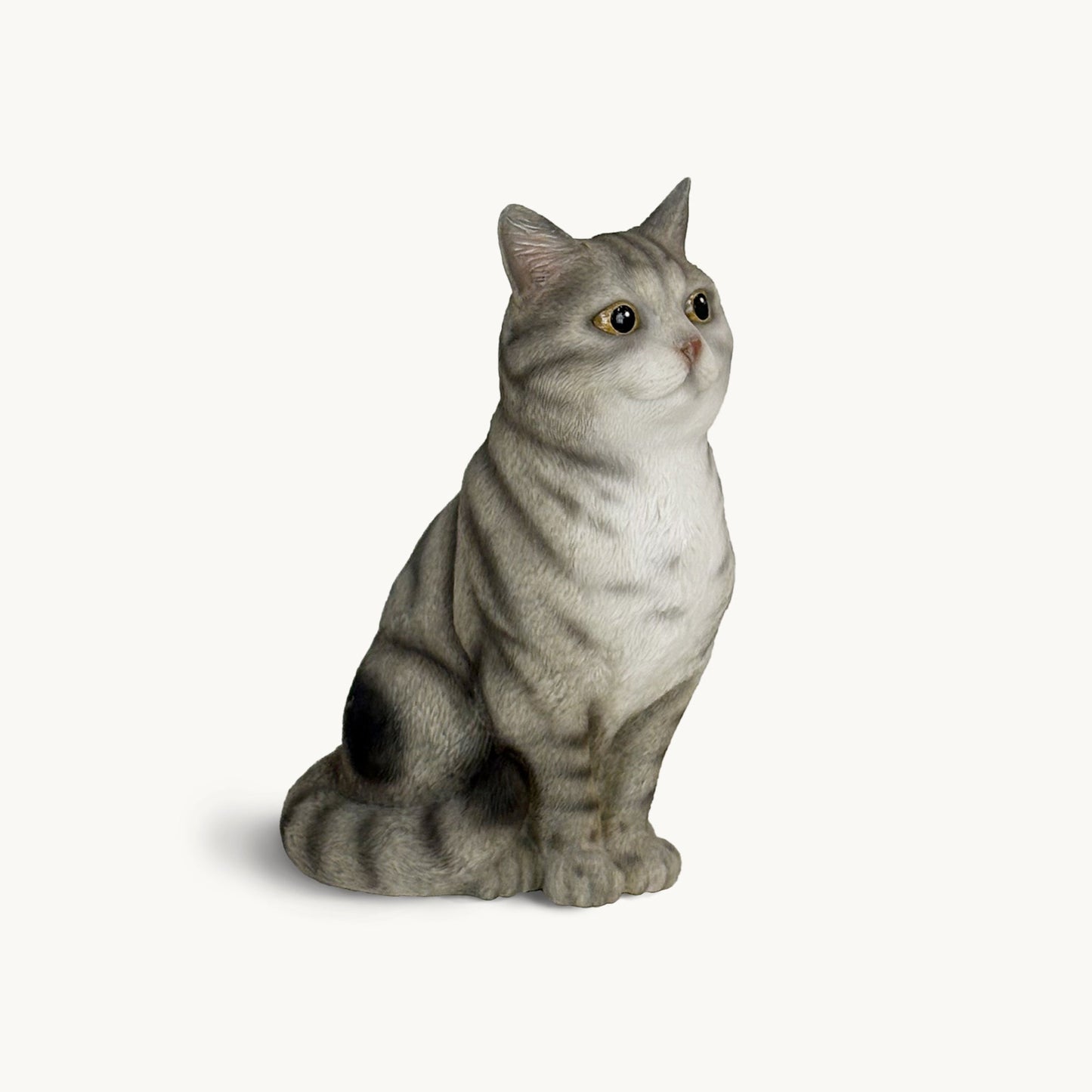 American Shorthair Cat| Custom Color Edition