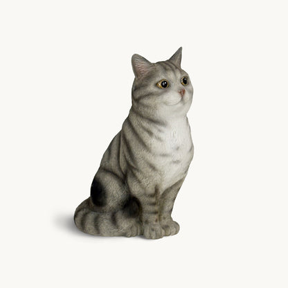 American Shorthair Cat| Custom Color Edition