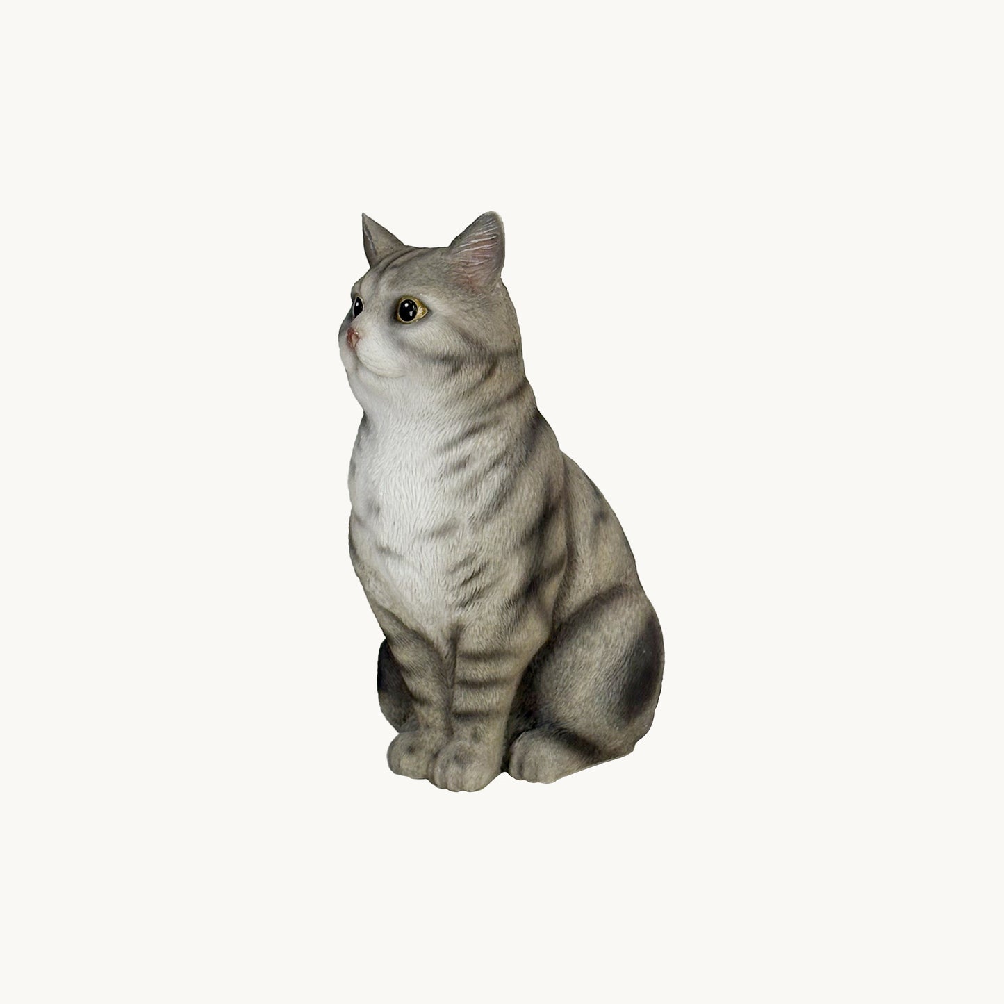 American Shorthair Cat| Custom Color Edition