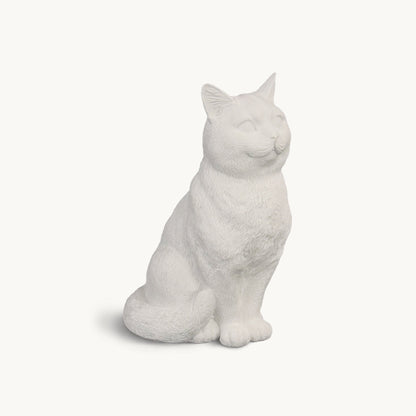 American Shorthair Cat| Classic White