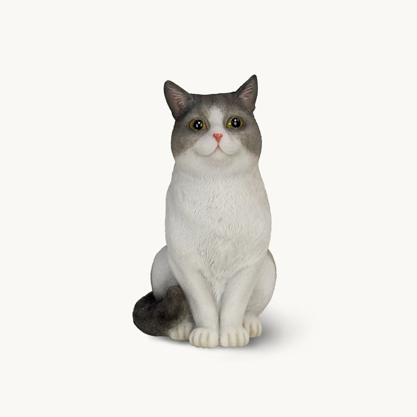 British Shorthair Cat| Custom Color Edition
