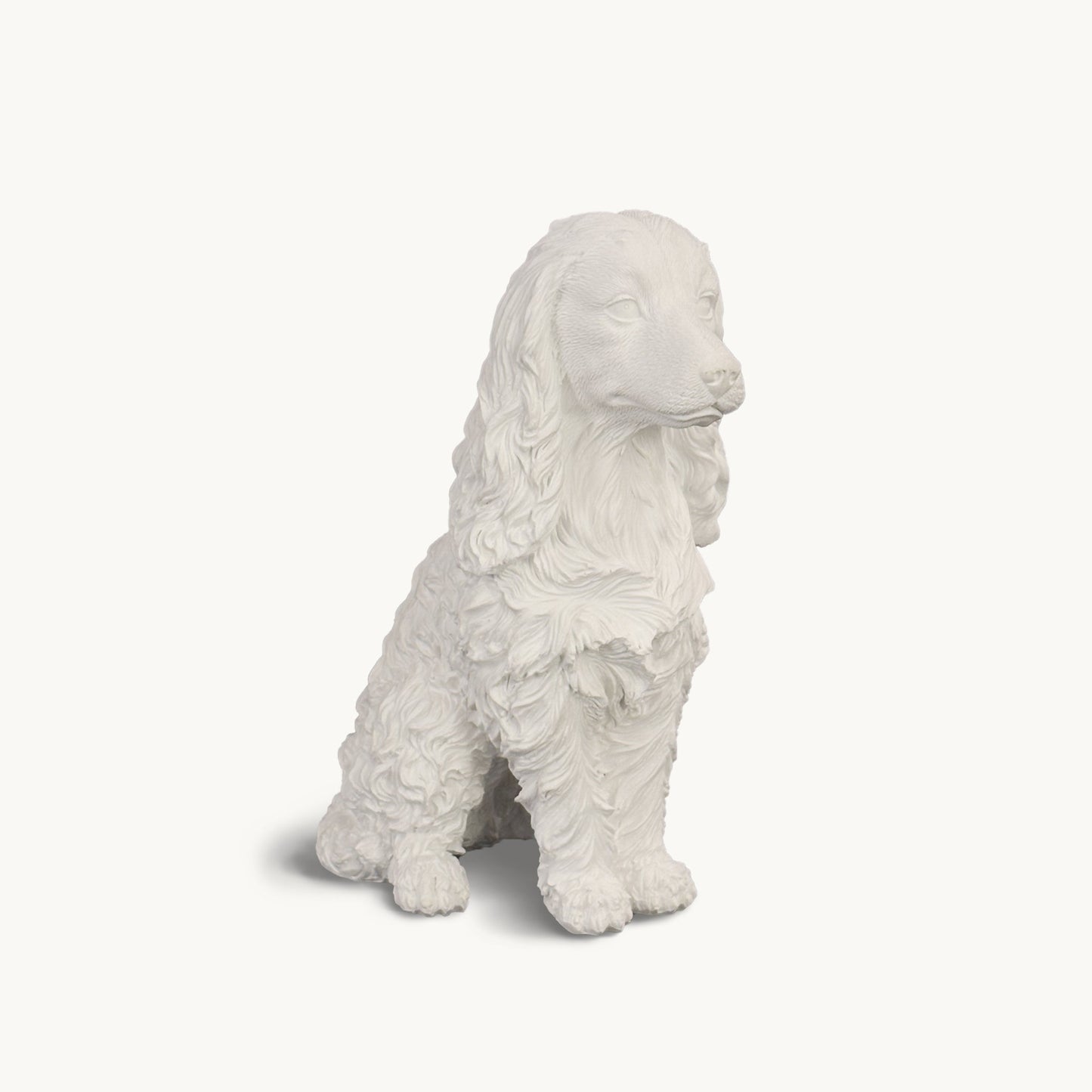 Cocker Spaniel| Classic White