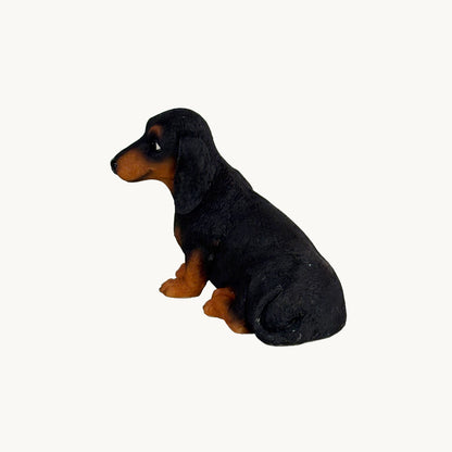Dachshund| Custom Color Edition