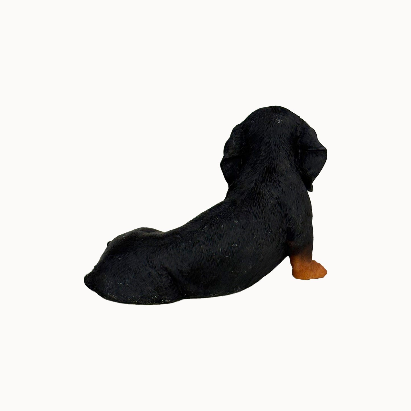 Dachshund| Custom Color Edition