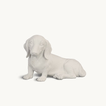 Dachshund| Classic White