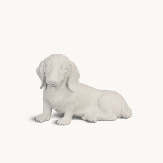 Dachshund| Classic White