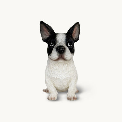 French Bulldog| Custom Color Edition