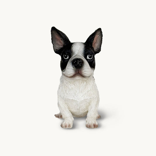 French Bulldog| Custom Color Edition