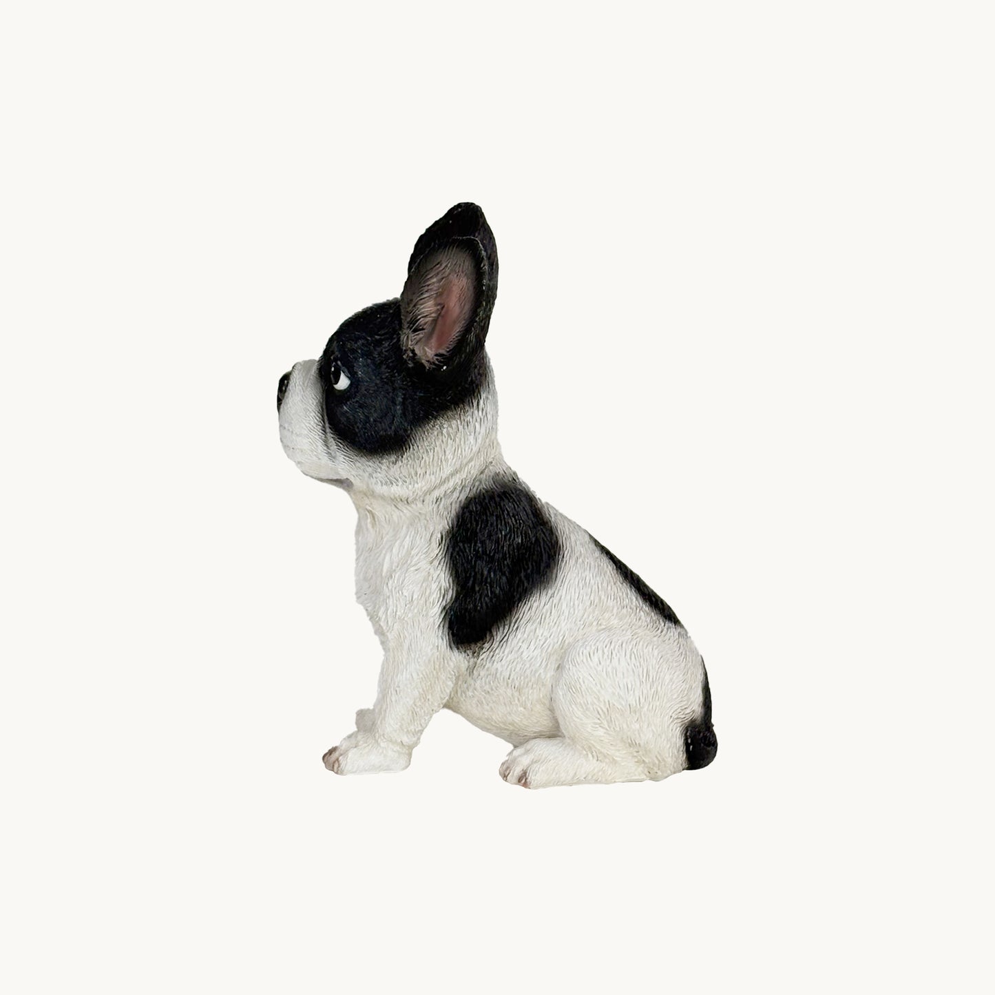 French Bulldog| Custom Color Edition
