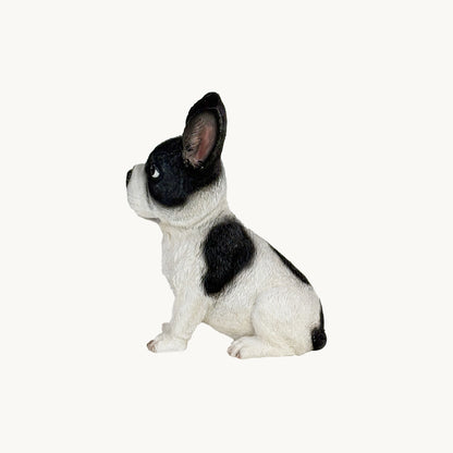 French Bulldog| Custom Color Edition