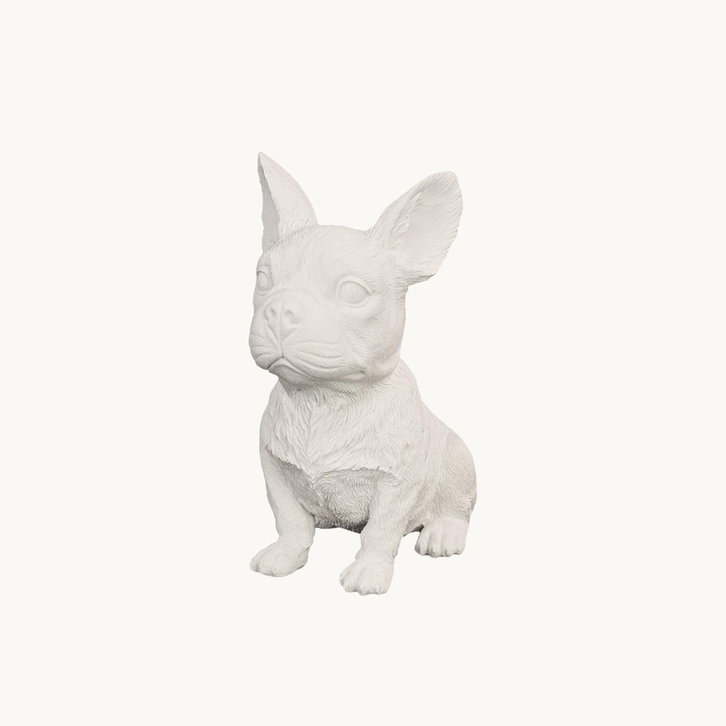 French Bulldog| Classic White