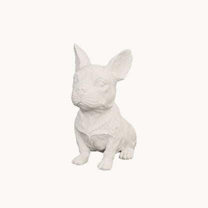French Bulldog| Classic White