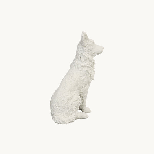 German Shepherd Dog| Classic White