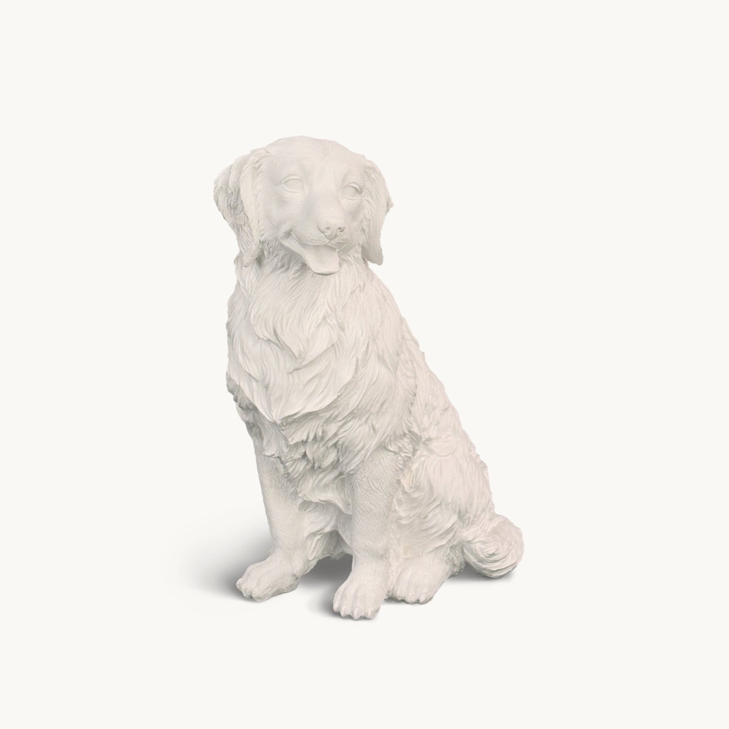 Golden Retriever| Classic White
