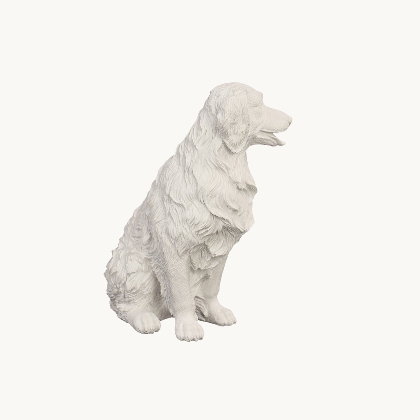 Golden Retriever| Classic White