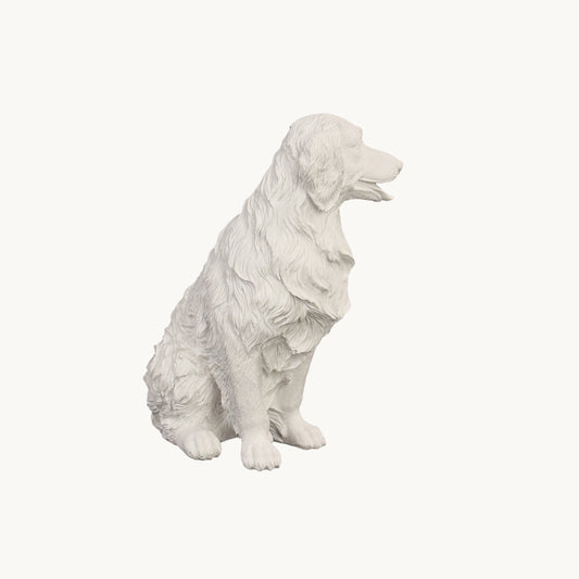 Golden Retriever| Classic White