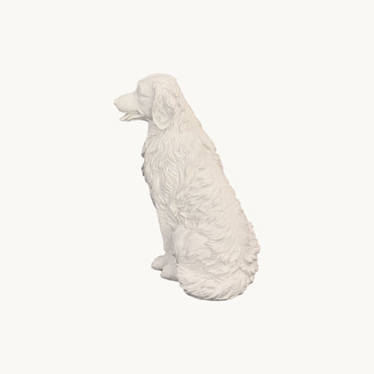 Golden Retriever| Classic White