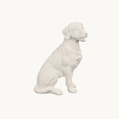 Labrador Retriever| Classic White