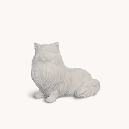 Persian Cat| Classic White