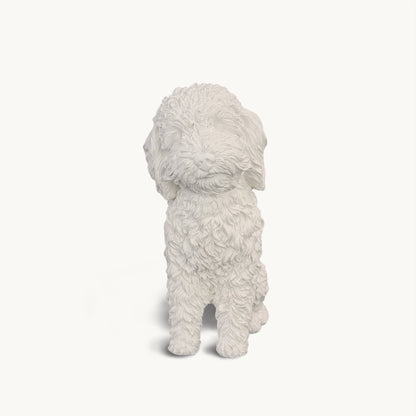 Poodle| Classic White