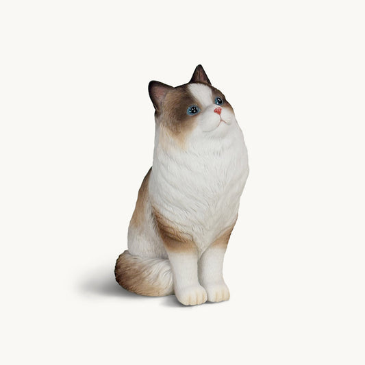 Ragdoll Cat| Custom Color Edition