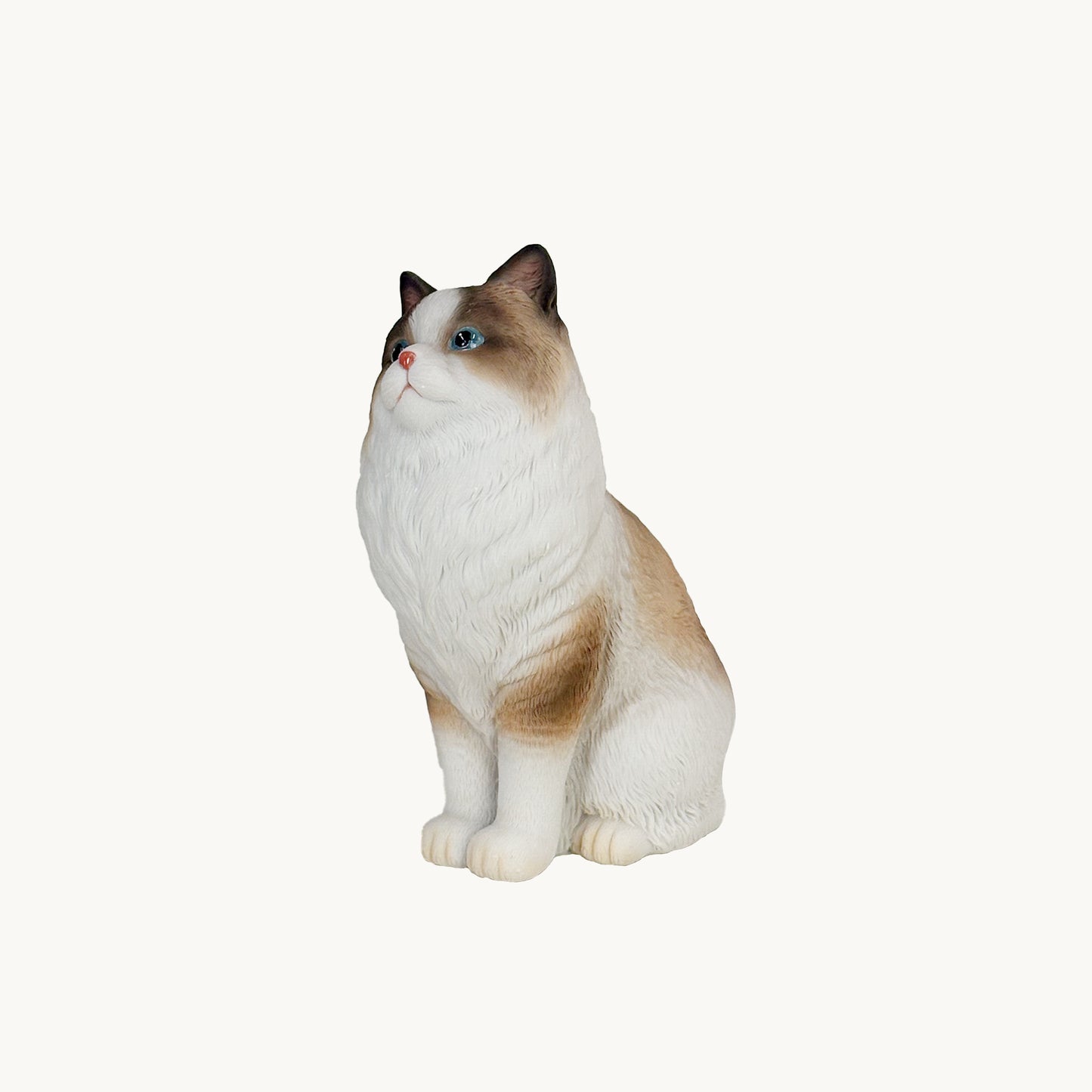 Ragdoll Cat| Custom Color Edition
