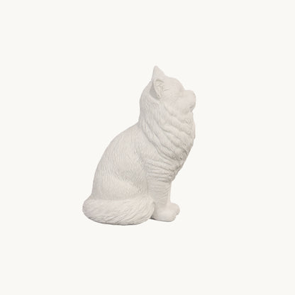 Ragdoll Cat| Classic White